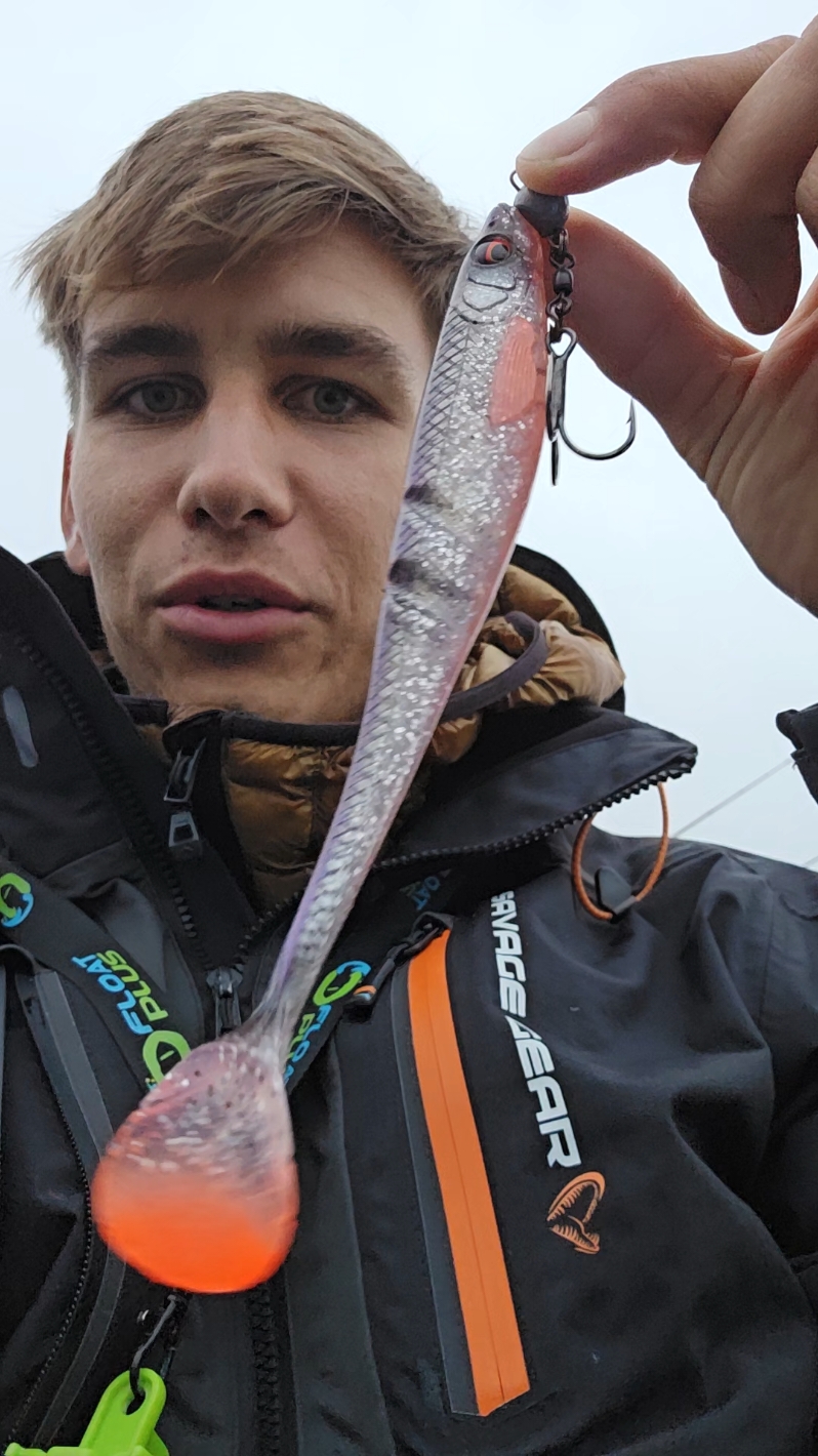 Collapser #Zander #zanderangeln #zanderfishing #harzfishing #fishing #fishinglife @Savage Gear Official 