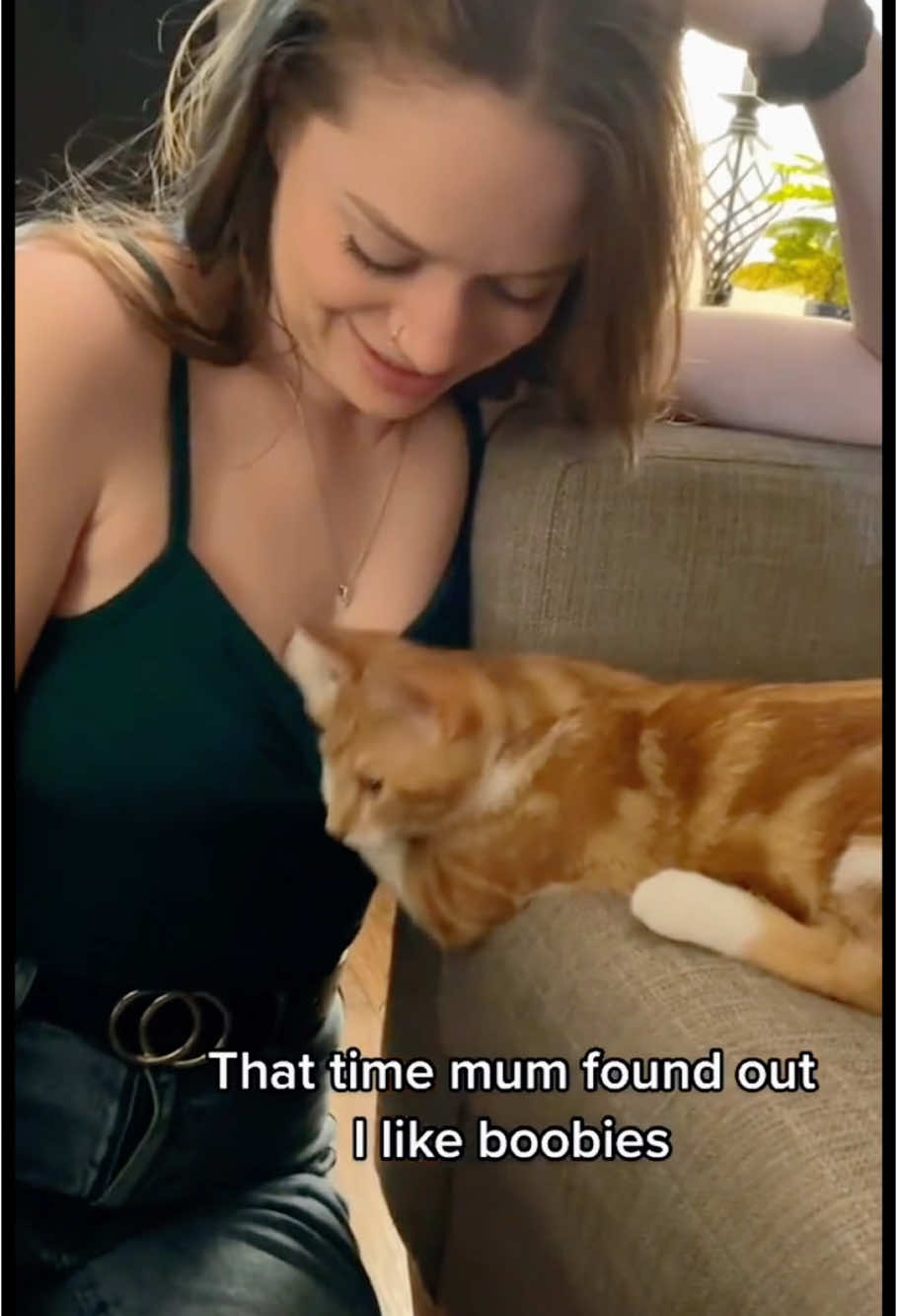 Cat are so bad #funny #catsoftiktok #funnyvideo #fpy #cat 