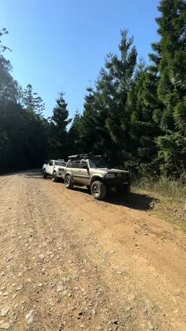 #patrol #shedlife #tb45 