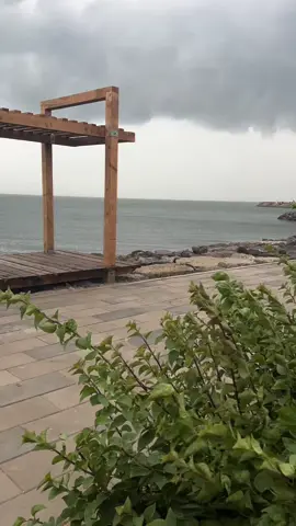 #أجواء_جيزان_أكسبلور_لايك🥺💛 #جيزان #جازان #بحر_الجامعة_جيزان #بحر_جيزان #جازان #صبيا #تصويري #كورنيش_الجامعة_جازان #كورنيش_البحر_الأحمر #بحر_الجامعة_جيزان #جازان #مطر #مطر_جيزان 