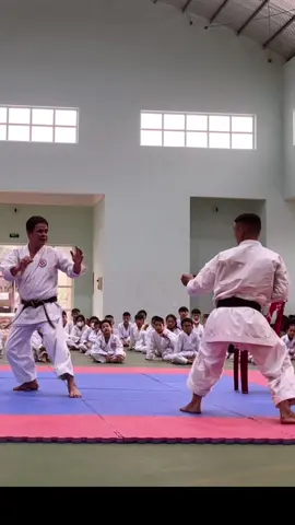 Thầy tôi #nghiadungkaratedo #loitrankarate 