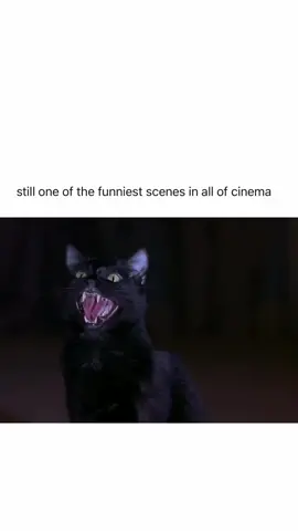 never gets old 😂 In *Scary Movie 2*, the catfight scene takes place between the characters Megan (played by Anna Faris) and the ghostly character, who is portrayed as a malevolent spirit. This scene is notable for its over-the-top humor and parody of horror movie tropes. The fight escalates quickly, featuring exaggerated physical comedy, with the two characters throwing punches, pulling hair, and engaging in ridiculous antics. The scene blends slapstick humor with horror elements, characteristic of the *Scary Movie* franchise, which often pokes fun at common clichés found in horror films. The fight is both chaotic and comical, culminating in a series of absurd moments that highlight the film’s irreverent take on the horror genre. If you want more details or a specific aspect of the scene, let me know! #reels #funny #halloween #movies