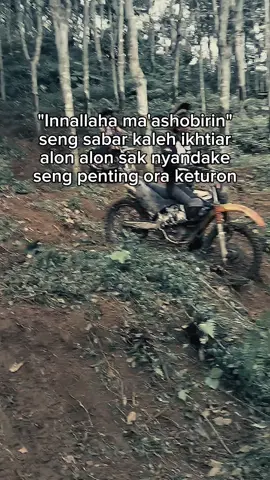 #trailadventureindonesia  #fyp  #capcut_edit  pesona wong trabas