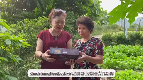 Feedback của các ông các bà khi sử dụng trà Linh Chi Nhất Long #viral_video#xuhuong2024#viraltiktokvideo#linhchinhatlong#linhchi#viral_video 