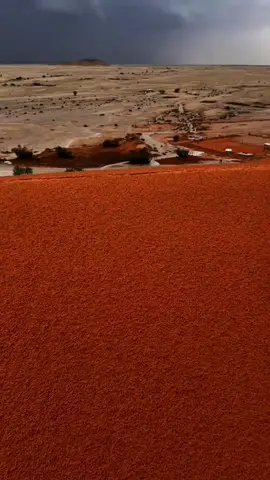 #explor #اكسبلورر #اكسبلورر #شديد_البدو #الابل#الامطار_والاجواء #ستوري #شيلات 