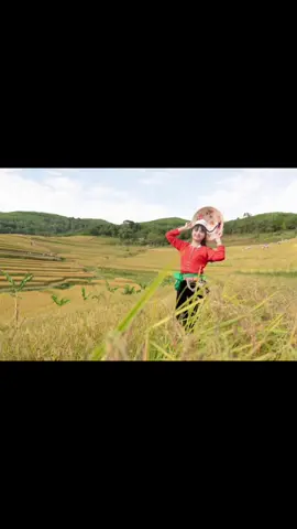 Cơm mường Vó lọ mường vang #commuongvolomuongvang #28hoabinh #28hoàbình❤️ #28hoabinhxinchao❤️ #xuhuongtiktok2024 