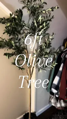 Obsessed with this faux olive tree and it's under $60!!  #cewor #creatorsearchinsights  #6ft #olivetree #bedroomdecor #bedroominspo #bedroomideas #greenery #Home #upgrade #artificialtree #plants #homefinds #organicmodern #homedecor #neutralhome #stylewithme #fauxolivetree #aesthetic #fyp #foryou #fyp