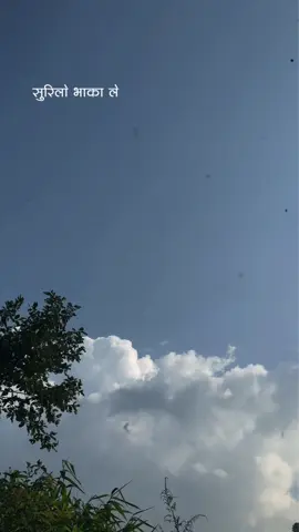 Yo bainiko surilo bhaka le 👀 || template 👆 #CapCut #dibashcreation #nepalicapcuttemplate #dibash #natural 