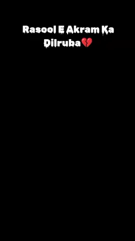 رسول اکرم کا دلربا 🫀  Ali Shanawar _2020 _1442#ishqehaiderzindabad🙌🥀 #hussainiat_zindabad #panjtani #haidermolaع❣️ #nohastatus #azadarehussain #salamalemuhammd #hsb_innocent #foryou #unfreezemyacount 