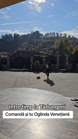 #oglindavenetiana 
