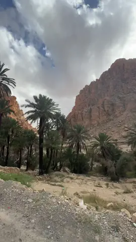 El-kantra  📍 Biskra  #CapCut #algerie🇩🇿 #biskra🔥🌴 #tourism #tourisminalgeria #trip #voyage #الشعب_الصيني_ماله_حل😂😂 #fyp #viral_video #الجزائر🇩🇿 #الجزائر🇩🇿 