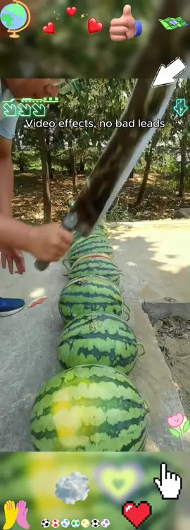 The watermelon seeds are here!🍉🍉#seeds #fruit #planting #gardening #growingup #delicious #nature #tiktokshopblackfriday #tiktokshopcybermonday #spotlightfinds