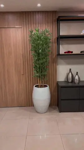 Vase de plantas artificiais bambu!!!