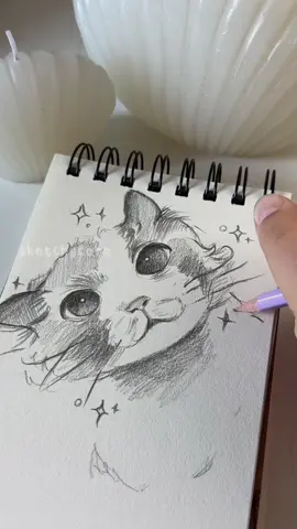 Easy drawing ideas when you’re bored ( drawing from pinterest)💗#catdrawing #tutorial #howtodraw #sketch #artist #art #sketchtutorial #drawwithme #drawwithme #arttutorial 