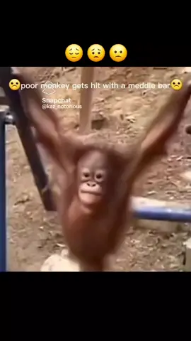 Poor Monkey 😟 🙁 #core #corecore #sadvideo #sadvideos #sadvideo💔 #sadvideo😒 #monkey #monkeys 