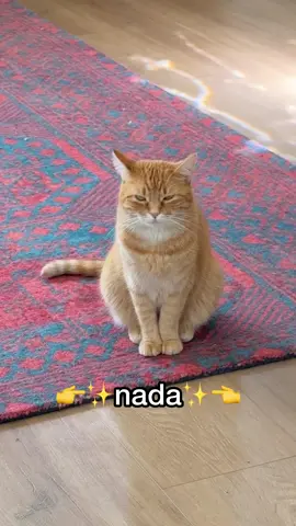 Penny’s guide to a successful relationship is… 