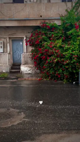 اللَّهمَّ لكَ الحمدُ كُلُّهُ،ولكَ المُلك كُلُّه ، بِيَدِكَ الخيرُ كُلُّهُ وإليك يَرجِعُ الأمرُ كُلِّهِ علانيَتِهِ وسِرِّه ،فأهل أنتَ أَن تُحمَدْ إنَّك على كلِّ شيء قدير ، اللَّهمَ اغفر لي جميع مامضى من ذُنوبي ، واعصمني فيما بقيَ من عُمري وارزقني عَملاً صَالحاً يُرضيكَ عنِّي