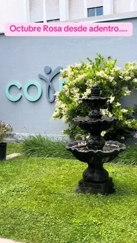 Primero tengo que aclarar que fui al COIR para acompañar a una persona muy especial para mí.                                     Octubre fue establecido por la OMS como el “Mes de concientización sobre Cáncer de Mama