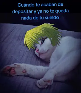 maldito dinero honesto, no dura nada . #animememe #hunterxhunter #fyp #humor 