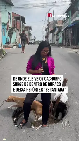 😅🐕 Tinha que ser um #caramelo... Durante reportagem em que a #jornalista manauara Brena Karollyne relata a dificuldade da população diante de um enorme buraco no meio da rua, uma cena chamou a atenção nas #redessociais. Um cachorrinho resolveu sair de dentro do buraco, pegando a repórter e a #internet de surpresa.  A publicação rapidamente viralizou e os internautas se divertiram com a aparição repentina do doguinho: 