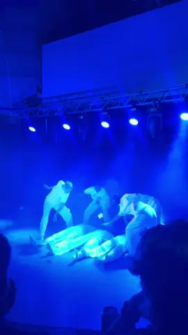 Baraf/fairuz på show @KARPE  Koreo: @Kishkish @millehovland og Pernille #oslonorway #medstudent #fyp #dance #karpe #dancersoftiktok #dancechallenge #fypシ #choreo #oslo 