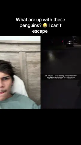 #duet with @Insanely black dude can someone explain the Halloween penguin thing?? #halloweenpenguin #penguin #brainrot #conspiracy 