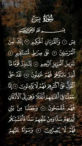 سورة يس مكتوبة كاملة بصوت خاشع ومؤثر #أحمد_العجمي #قران #سورة_يس #القرآن_الكريم_ترند #المؤمنون_بالله_وحده #نفع_الله_بكم_الاسلام #حافظواعلى_الصلاة #لاتكفروا_بالله #خاشع_ومؤثر #صلوا_على_خير_البشر_تغنموا 