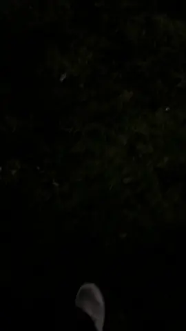 #اكسبلووووووررررررررررررررررر #اكسبلووووووررررررررررررررررر 