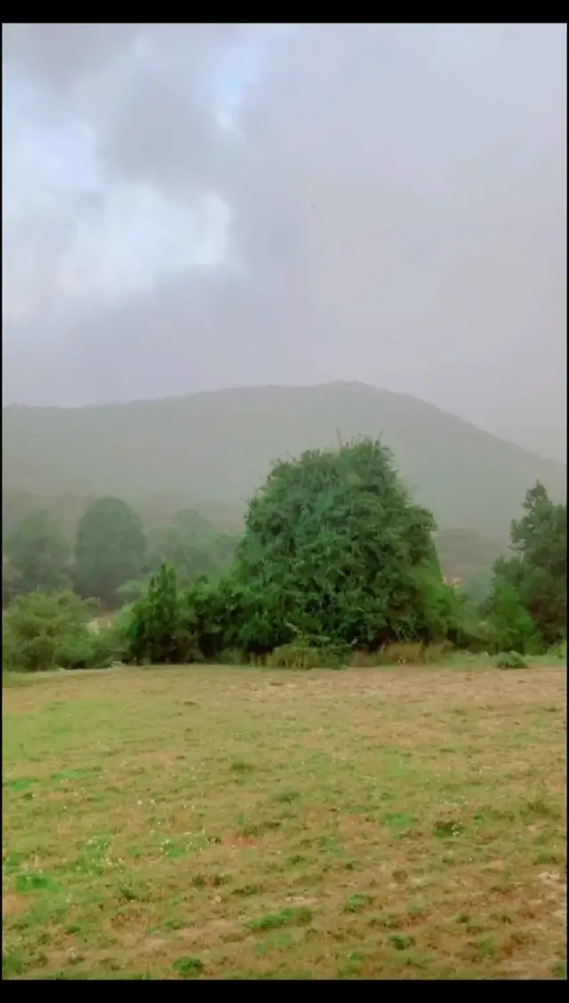 #الطبيعة #الماضي #الحنين 