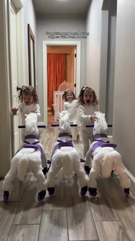 They are so obsessed with their new push ponies from @Power Pony #mypowerpony #powerpony #pushpony #triplets #tripletgirls #identicaltriplets #toddlers #toddlergiftideas #christmasgift #christmasgiftideas 