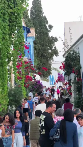 Sidi bou said🇹🇳 #Tunisia, #DiscoverTunisia, #TunisianCulture, #ExploreTunisia, #BeautifulPlaces, #LocalLandmarks, and #TownDiscovery 
