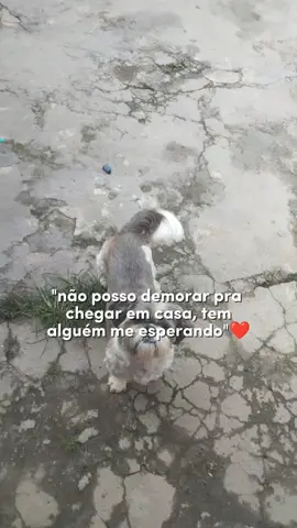 o amor mais verdadeiro 💕