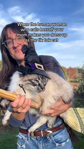 I had to 😂🥲 #catsoftiktok #catonbroom #halloween 