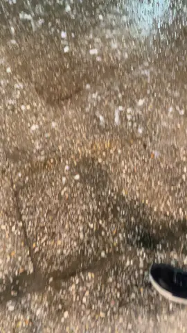 Тихо падает снег, на ладони, и тает. Ты сейчас далеко, мне тебя не хватает. Как хотелось бы, в этот снег превратиться. И на ладони твои, потихоньку ложиться. #поэзия #снегопад  P.S. Это просто красивое видео и стих 😸