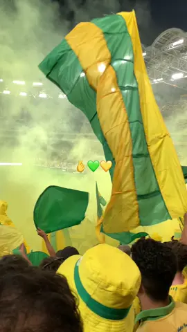 #jsk #jskabylie💛💚 #tiziouzou #tizi #tiziouzouⵣimazighen💛💚 #kabylieboys #jskvibe #utrakabylieboys #algeria #kabylie 