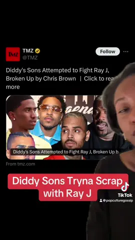 Diddy’s Son try to fight ray j but chris brown had to step in #diddy #fyp #chrisbrown #rayj #justincombs #kingcombs #quincy 
