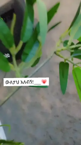 #ilove #you #wifey #big #respect #❤ #😅 #😍 