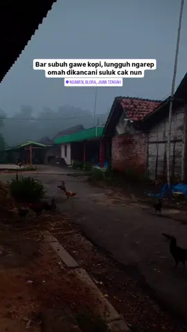 Kangen mbah. #suluk #gusiqdam #sulukcaknun #caknun 