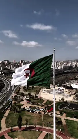 المجد والخلود لشهدائنا الأبرار عاشت الجزائر حرة مستقلة  🕊️🇩🇿  #الجزائر🇩🇿 #🇩🇿 #1novembre1954 #ALGERIA 