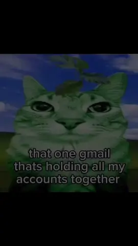 W gmail ‼️ #meme #funny #cat 