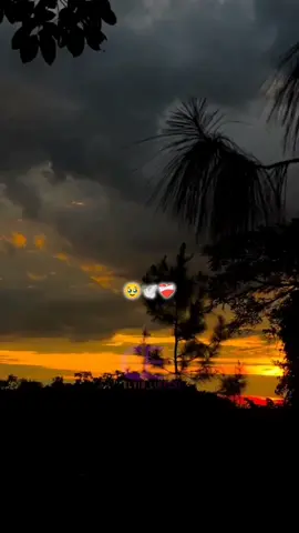 Un Abrazo Hasta El Cielo 🫂🥹🕊️❤️‍🩹 #miguelsoto #diademuertos #fyp #viral #parati #teextraño #musica #1denoviembre #mexico #alcielo #regionalmexicano #song #halowwen #songss #viral_video #tiktokviral #xzyabc #noviembre #elvis_lyrics1 #lirycs #estadosparawhatsapp #rolitas #tristeza #adoloridos #teextrañopapa #teextrañomama #familia #diadelossantos 