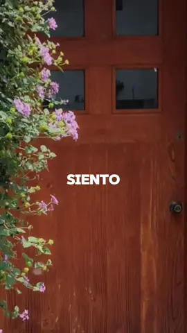 Quiereme con mi mal temperamento 💘 #latinmafia #foryoupage #xzyabc #pratii #xzybca @Miltondrm @EmilioDRM @LATIN MAFIA @TikTok 