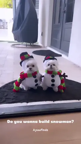Do you wanna build snowman? Olaf dog costume are now available!  #dogsoftiktok #doglover #shihtzu #shihtzusoftiktok #dogcostumeideas #dogcostume #christmasdog #olafdog #christmas2024 #snowmandog 