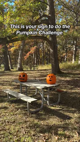 Pumpkin Challenge results 🎃🧡 #pumpkinchallenge #halloweek #couplegoal #fallactivities #thisisyoursign #lovergirlera #pumpkinheadphotoshoot 