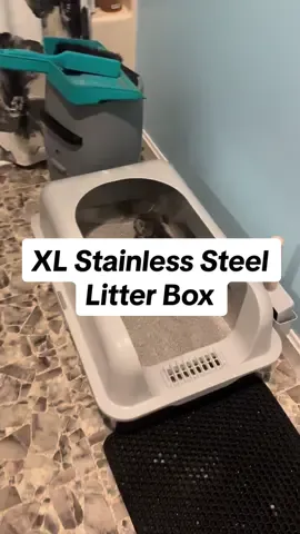 Yalllllll no more itty bitty diy litter box for Mousey!!!! Mousey has figured out how to get into the new stainless steel litter box and of course just like any other proud parent I had to record this milestone @Geoorood pet @Geoorood-us 🐭 #lifewithboyd #mouse #catdad #TikTokShop #stainlesssteel #litter #litterbox #catsoftiktok #cats #kitten #kittensoftiktok #blackfriday #deals 