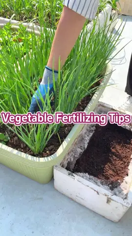 #garden #gardentips #gardening #gardeningtips #gardening101 #gardeninghacks #planting #planttips #agriculture #farming #fertilizer 