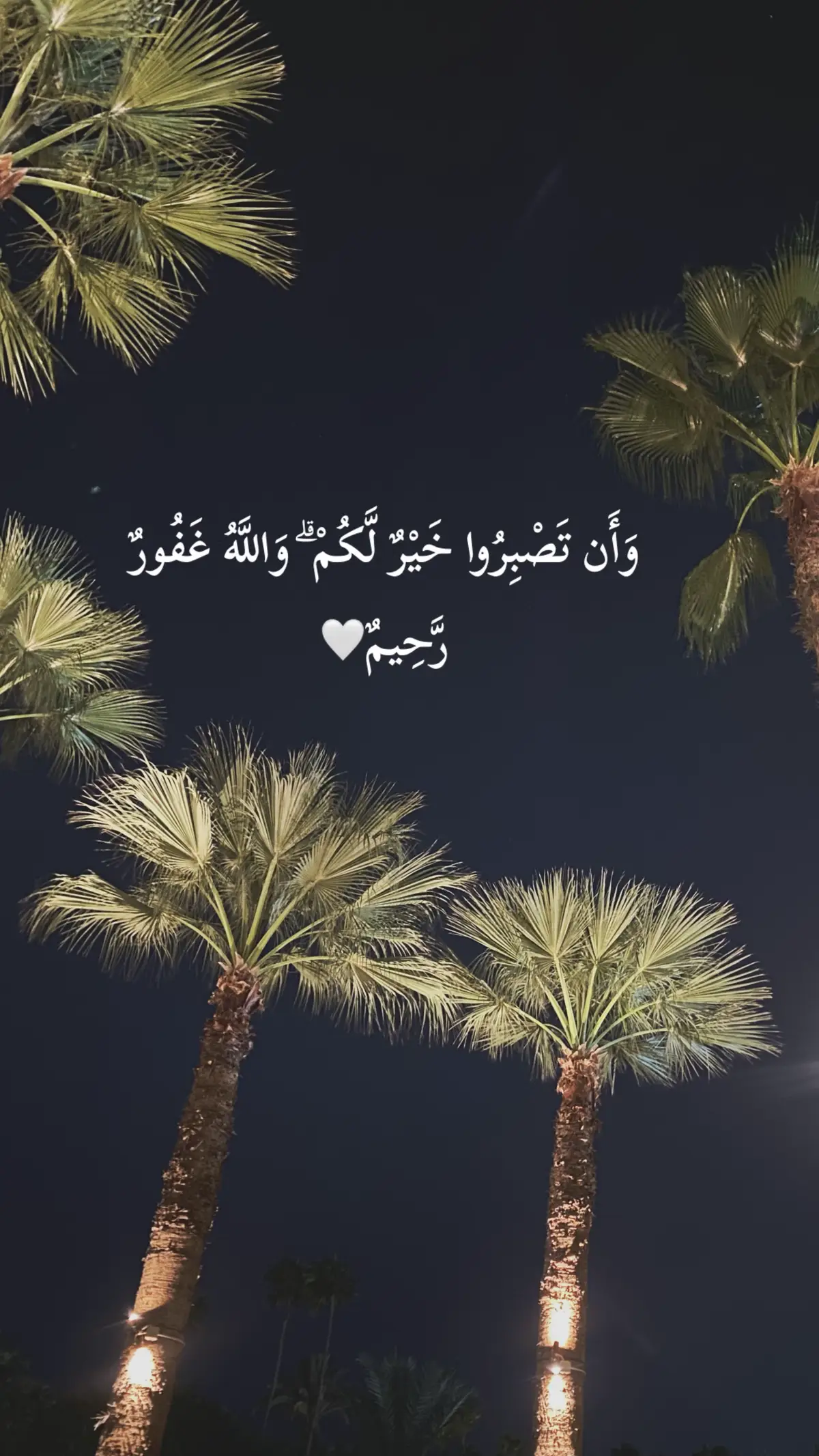 🤍🤍#capcut #fyp #quran #fy #fy 