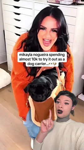 Would you spend 10 K on a Chanel purse to make it a dog carrier?👀🍵🐶 #mikaylanogueira #pug #dogcarrier #chanelbag #fyp