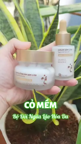 Serum Và Kem Dưỡng ẩm da mặt Sâm 1700 Ngăn Ngừa Lão Hóa Cỏ Mềm được chiết xuất từ thảo mộc thiên nhiên #comem #comeminhvietnam #serumsam1700 #kemduongda #serumcomem #skincare #andybeautyreview 