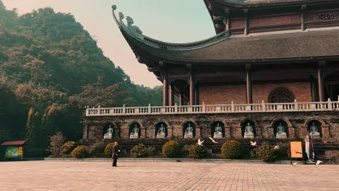 🍀 Trong cuộc sống... Thời thế không thuận lòng người ! Thì trời xuân ta xuân, trời hạ ta hạ, có gì đâu mà phải nghĩ… #phatgiaovietnam  #tusiphatgiao  #tusiphatgiao  #binhan #xuhướng 